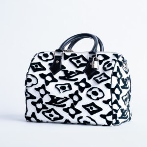 Speedy 25 Louis Vuitton